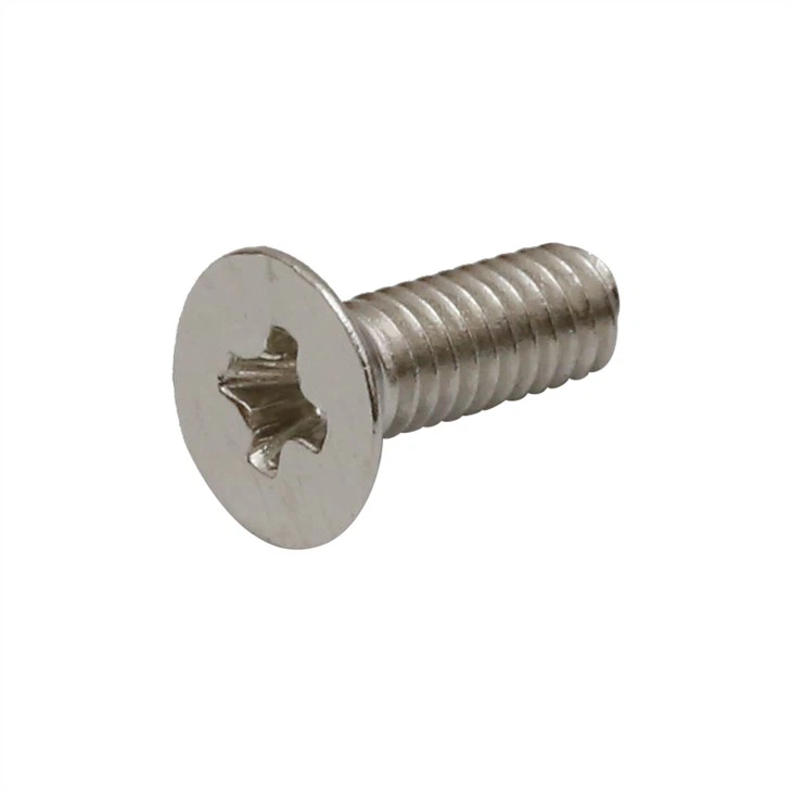 Small countersunk phillips head screw